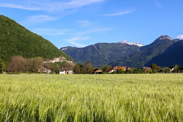 Comment choisir le meilleur camping en Haute-Savoie ?