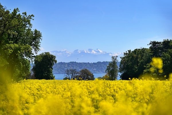 Découvrez les plus beaux sites naturels de la Haute-Savoie